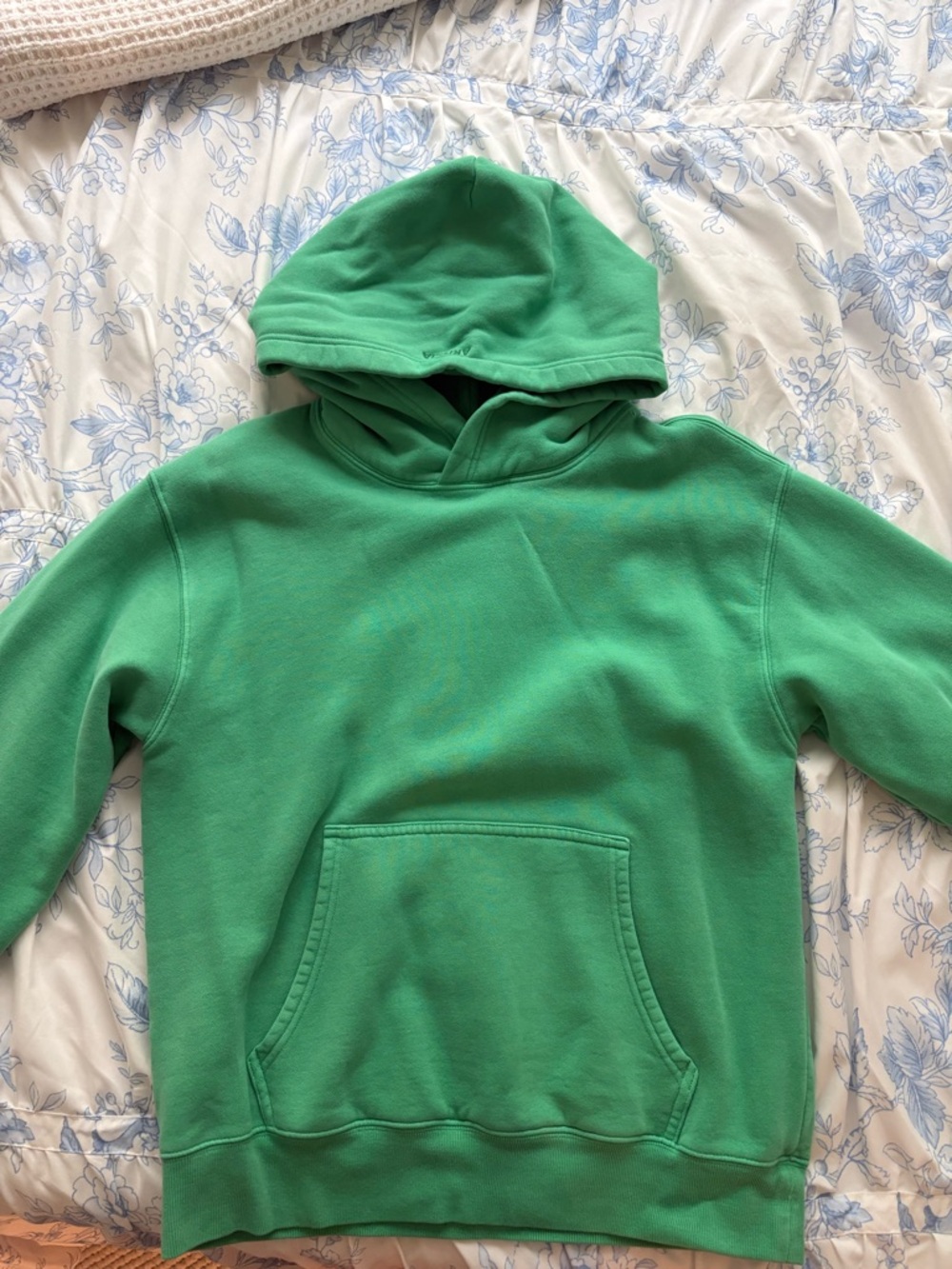 Aritzia Cozy Sweatfleece Perfect Hoodie